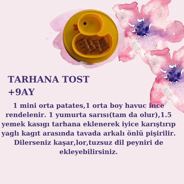 Tarhana Tost (+9 ay)