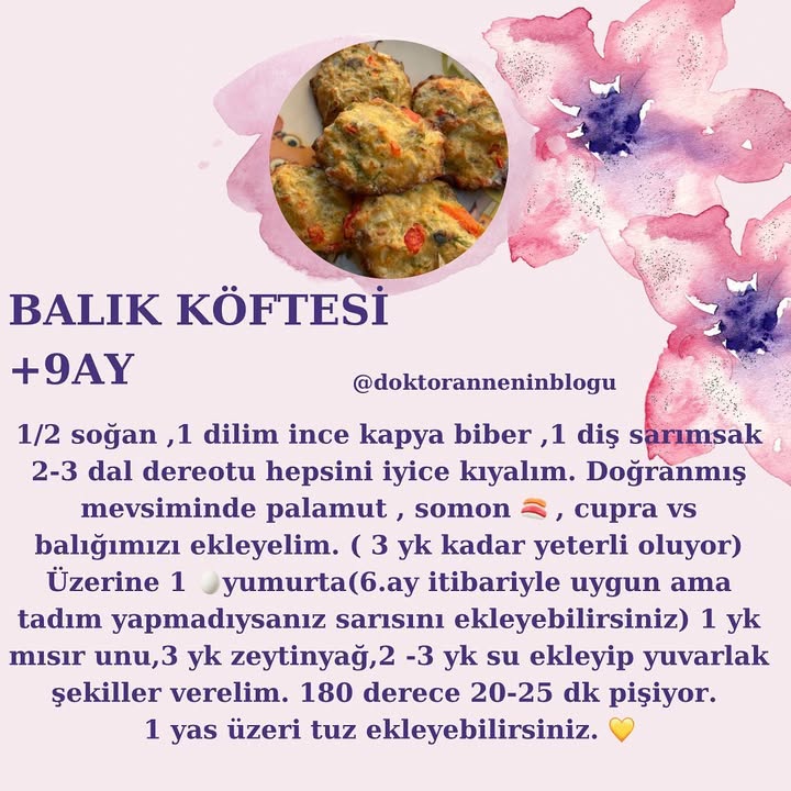 Balık Köftesi (+9 ay)