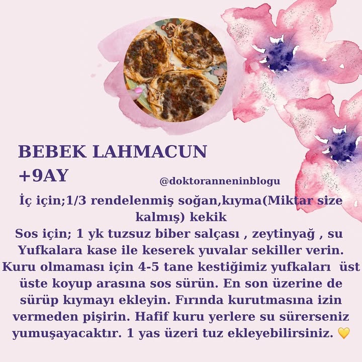 Bebek Lahmacun (+9 ay)