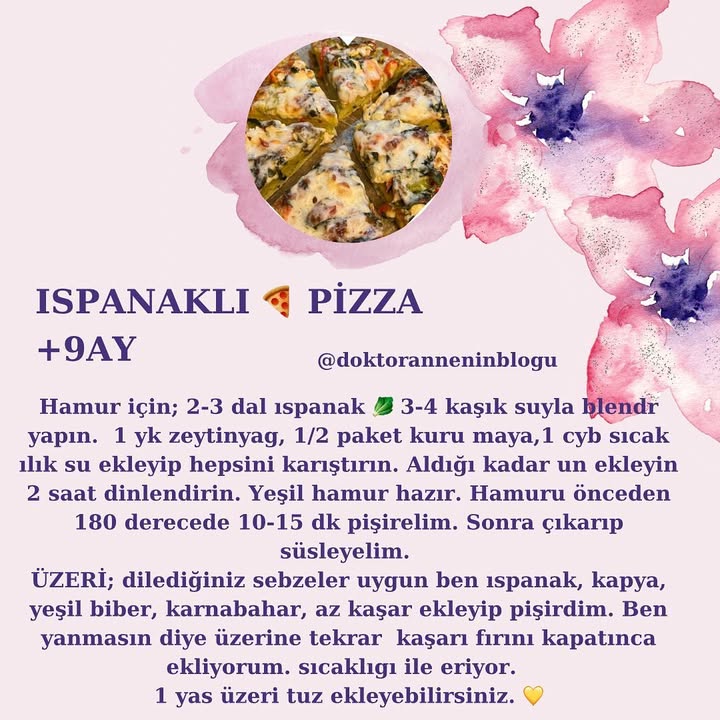Ispanaklı Pizza (+9 ay)