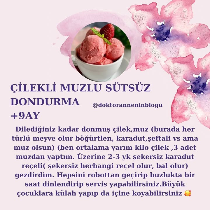 Çilekli Muzlu Sütsüz Dondurma (+9 ay)