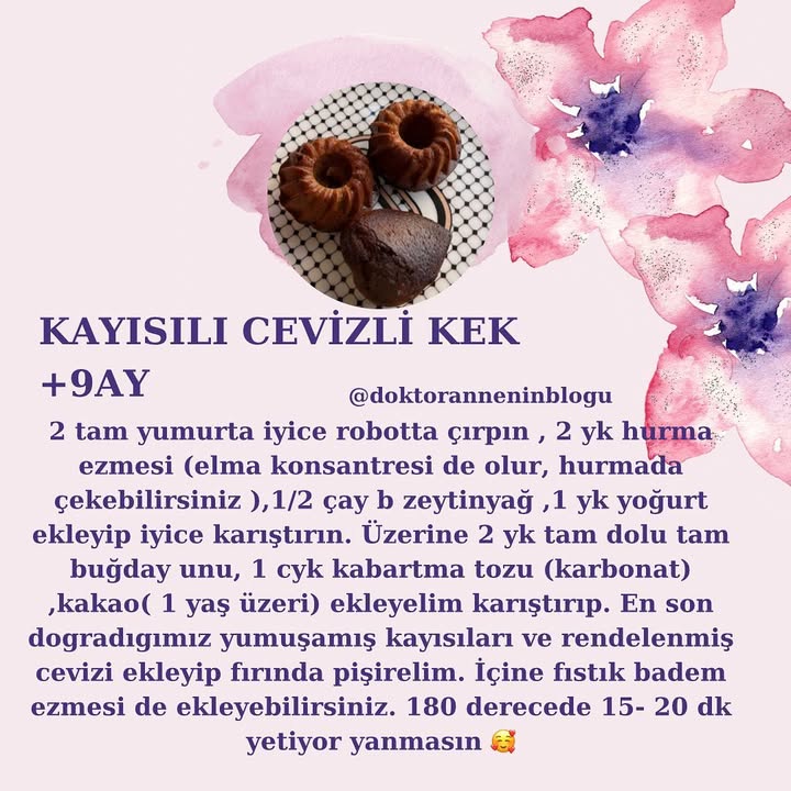 Kayısılı Cevizli Kek (+9 ay)