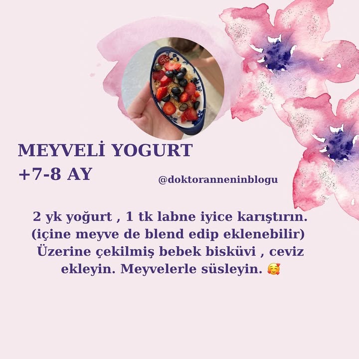 Meyveli Yoğurt (+7-8 ay)