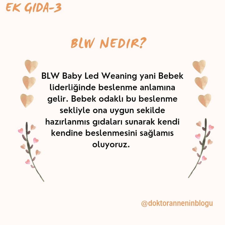 BLW nedir?