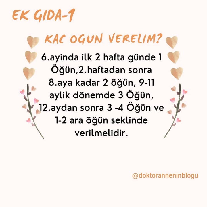 Kaç öğün verelim?