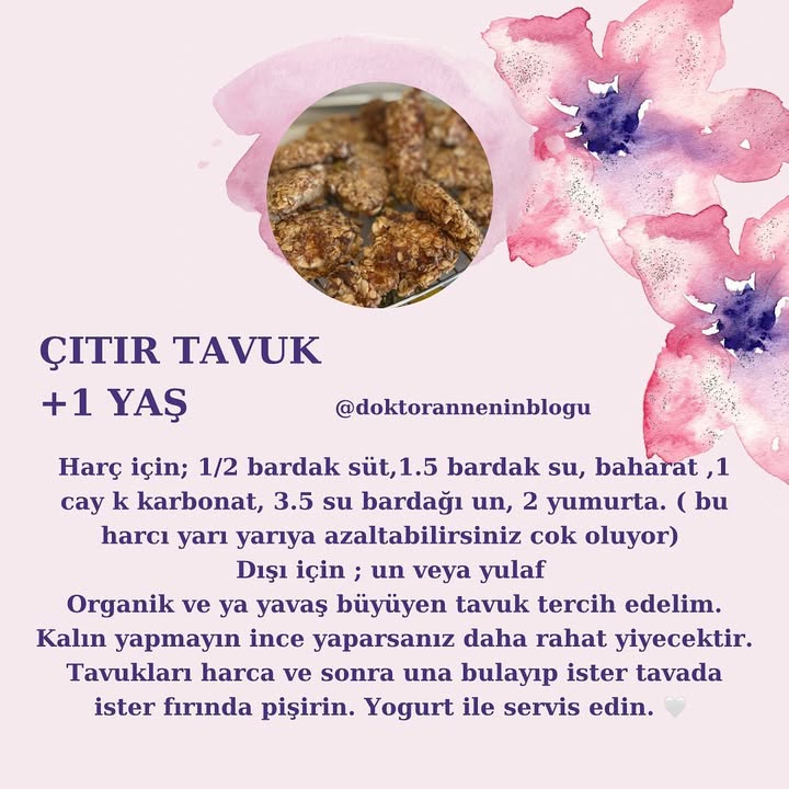 Çıtır Tavuk (+1 yaş)